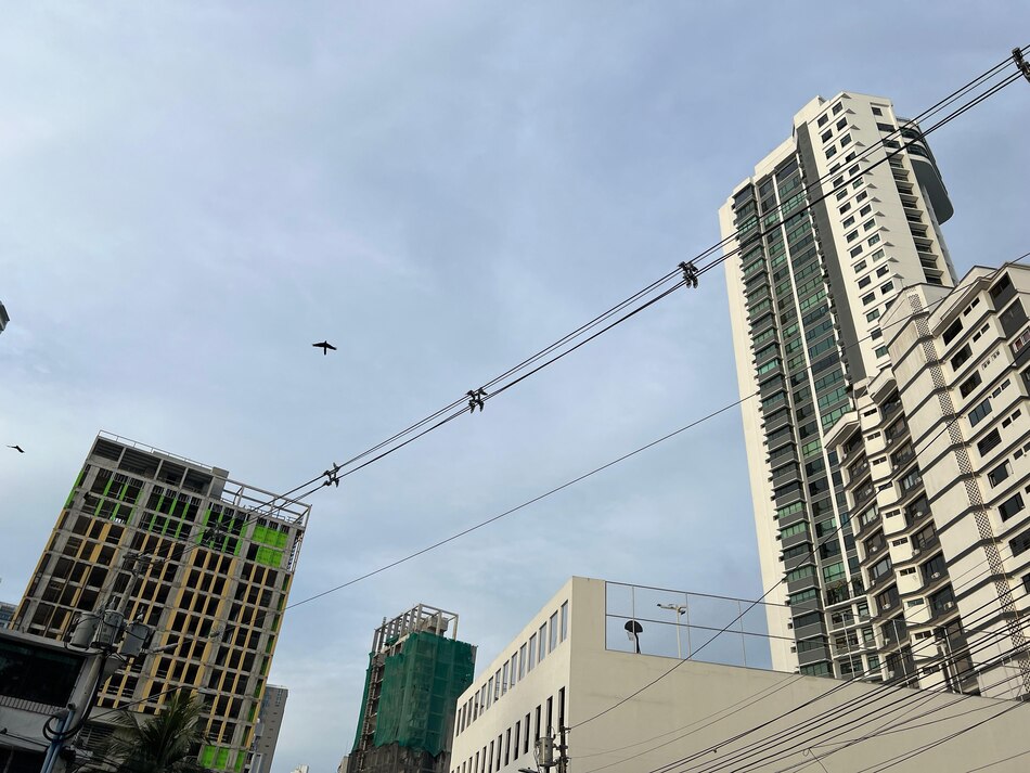 Naturgy cuida el medio ambiente