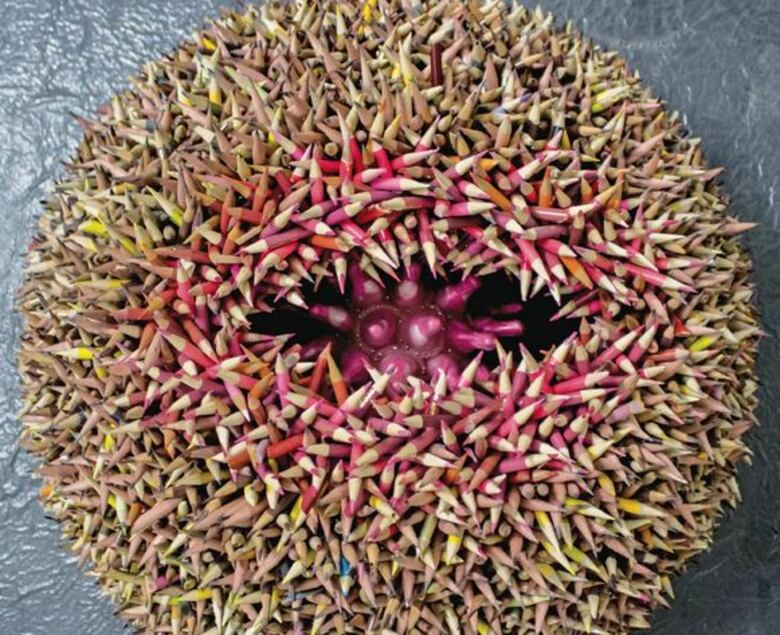 El MAC crea un nuevo sistema para proteger sus obras