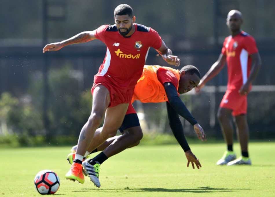 Un Gavilán en la mira