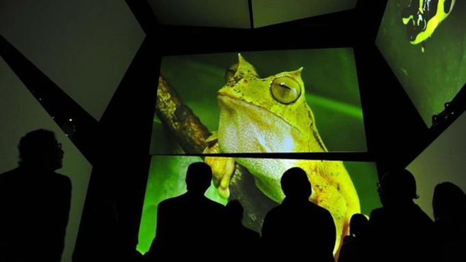 45 mil personas han visitado el Biomuseo
