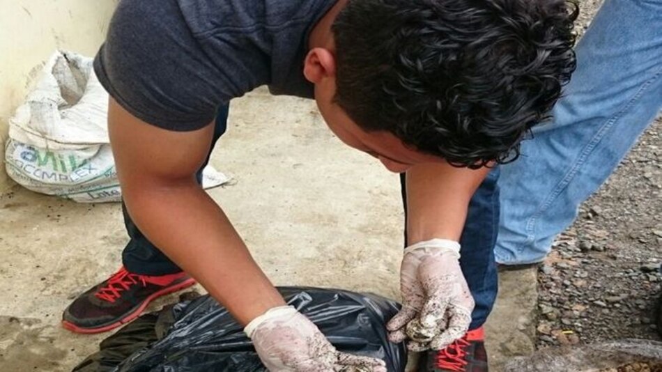 Los Santos: Cuatro aprehendidos por trasiego ilegal de huevos