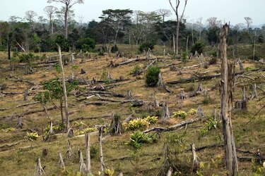 Matusagaratí, joya ecológica
