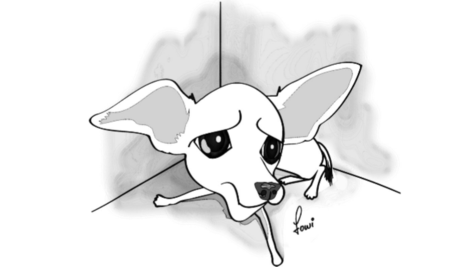 El maltrato a los animales domésticos y el derecho penal