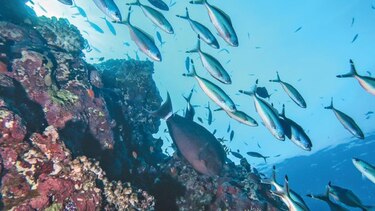 Los efectos de los cambios