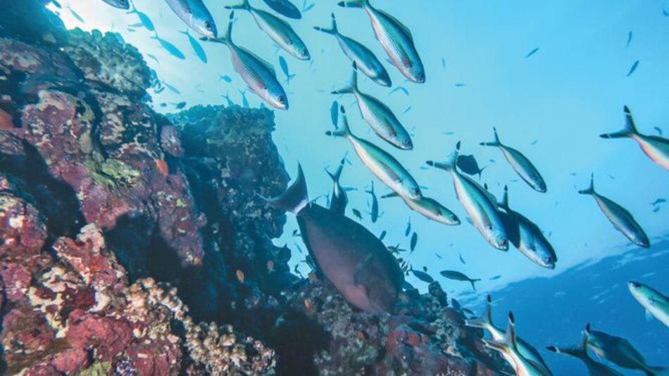 Los efectos de los cambios