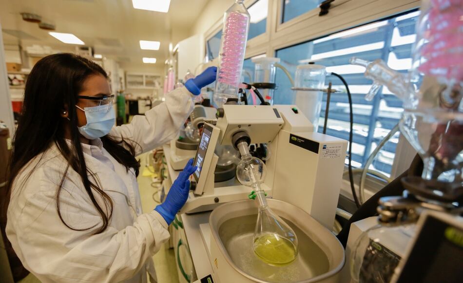 Senacyt destinará $1 millón 750 mil para fortalecer la industria farmacéutica