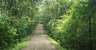 Los senderos canaleros
