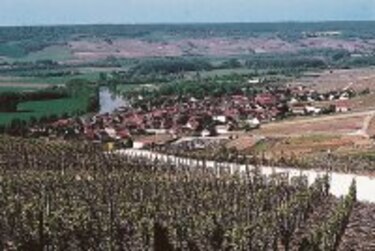 Vino blanco se convierte en símbolo