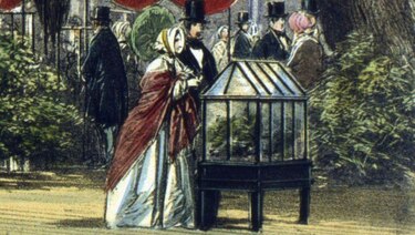 Qué son las ingeniosas cajas de Ward y cómo transformaron la economía mundial