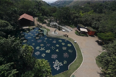 El jardín Botánico de Cali, el lugar donde se cuida el ‘oro verde’ de Colombia