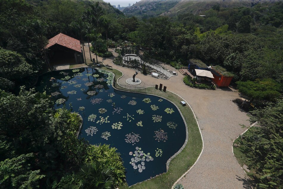 El jardín Botánico de Cali, el lugar donde se cuida el ‘oro verde’ de Colombia