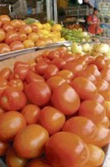 Agronoticias Tomateros se alistan para exportar a EU