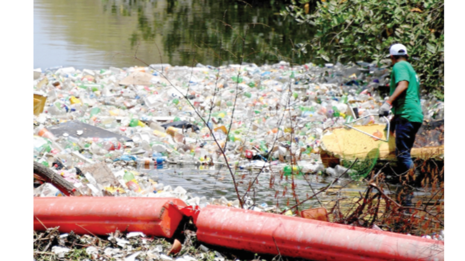 Marea Verde recibirá fondos internacionales para proyecto