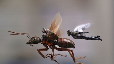 Secuela de ‘Ant-Man’ pone a las mujeres al frente del proyecto