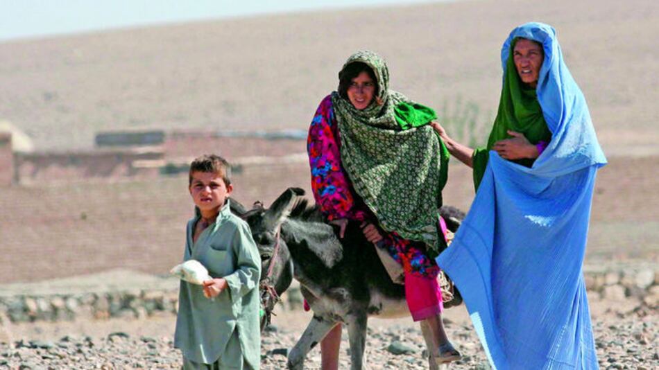 La malnutrición, flagelo del planeta