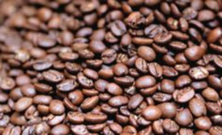 Geisha se acerca a la perfección