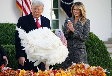 Trump indulta a su último pavo en la Casa Blanca y no menciona nada de su derrota