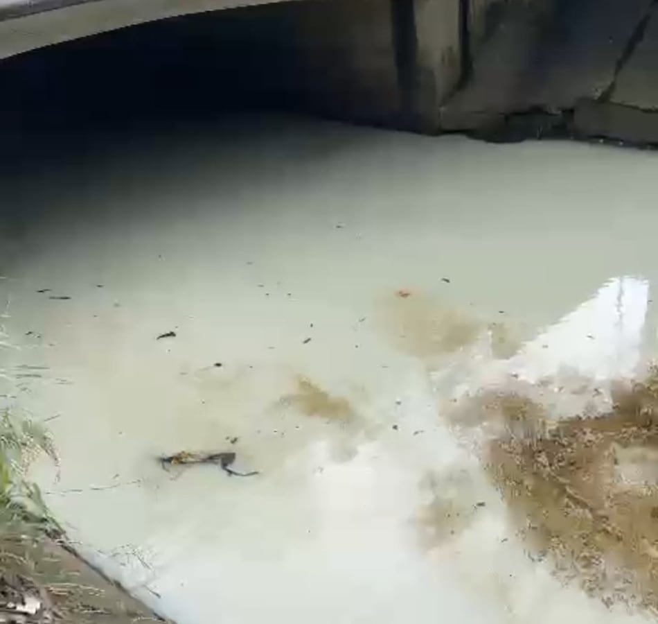 Multan con casi $10 mil a taller de chapistería por contaminación del río Matasnillo