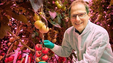 La revolución tecnológica del "food valley": cómo Países Bajos logró ser el tercer exportador mundial de alimentos con un territorio tan pequeño