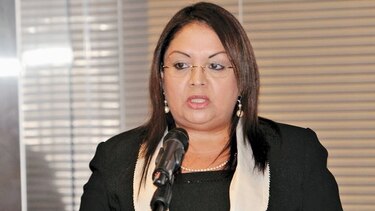 Ejecutivo dona $150 mil a fundación vinculada a diputada Dana Castañeda