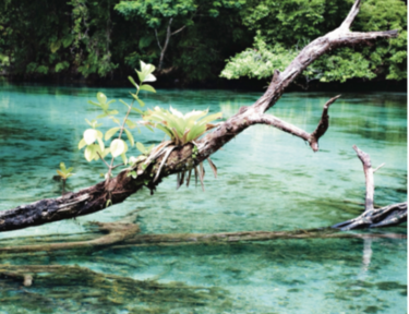 Panamá fue una vez un océano, ¿lo será de nuevo?