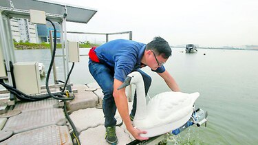 Cisne robótico para monitorear calidad del agua