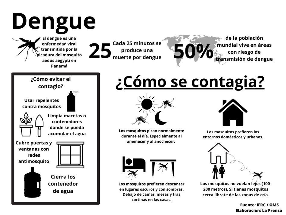 Día internacional contra el Dengue