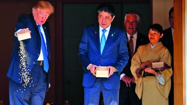 Trump pierde la paciencia con las carpas japonesas