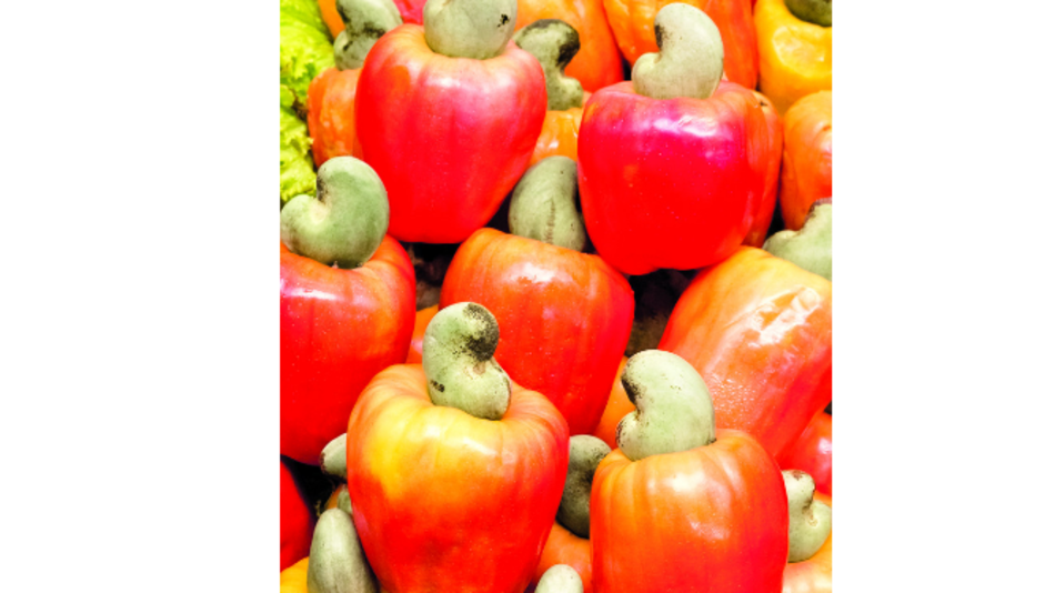 El marañón en la cocina