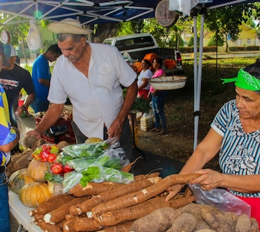 IMA anuncia agroferias este 20 de enero: conozca los puntos de venta