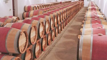 Estados Unidos impone aranceles a aviones y vinos de la Unión Europea