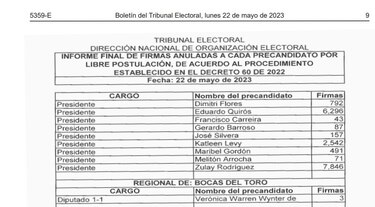Zulay Rodríguez encabeza lista de precandidatos con mayor número de firmas anuladas