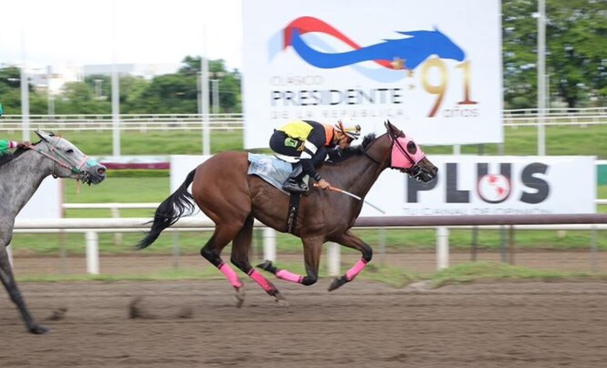 Luna Bonita que llevó la monta de Joel González.