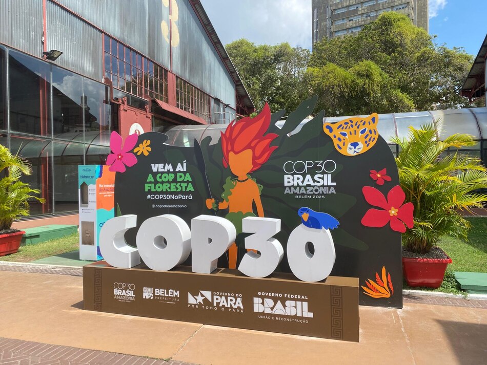 Chile, México, Panamá y otros 16 países apoyan cuadriplicar el uso de biocombustibles