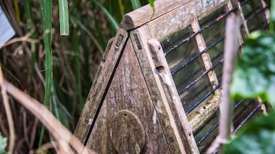 Qué son las ingeniosas cajas de Ward y cómo transformaron la economía mundial