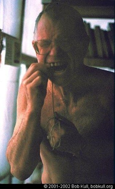 Las lecciones que aprendió el hombre que vivió durante un año solo con su gato en una remota isla de la Patagonia chilena