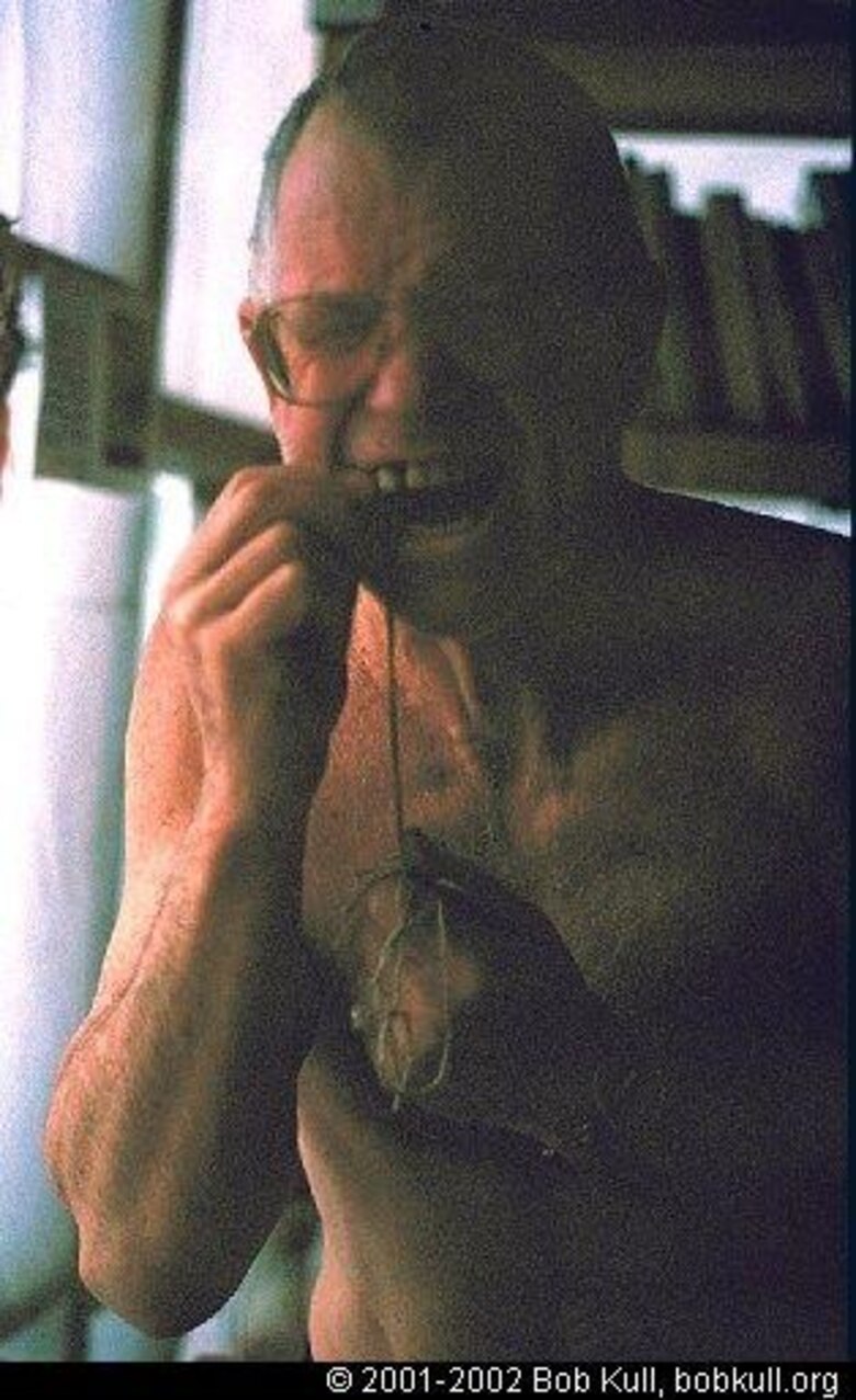 Las lecciones que aprendió el hombre que vivió durante un año solo con su gato en una remota isla de la Patagonia chilena