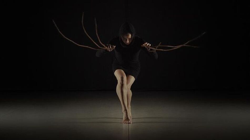 Viene lo mejor de la escena