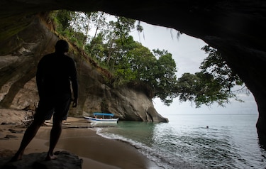 Fallo de la CSJ blinda la protección del área protegida Isla Escudo de Veraguas