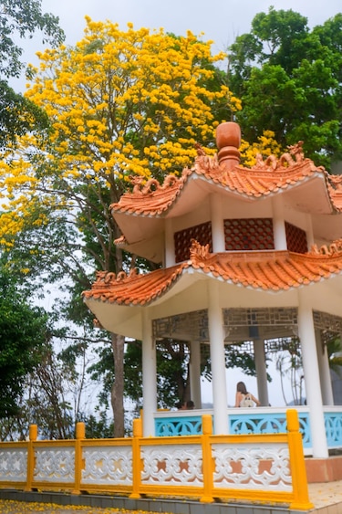Gobierno de Panamá ordena la inmediata restauración del monumento chino en el mismo sitio, en el Mirador del Puente de las Américas