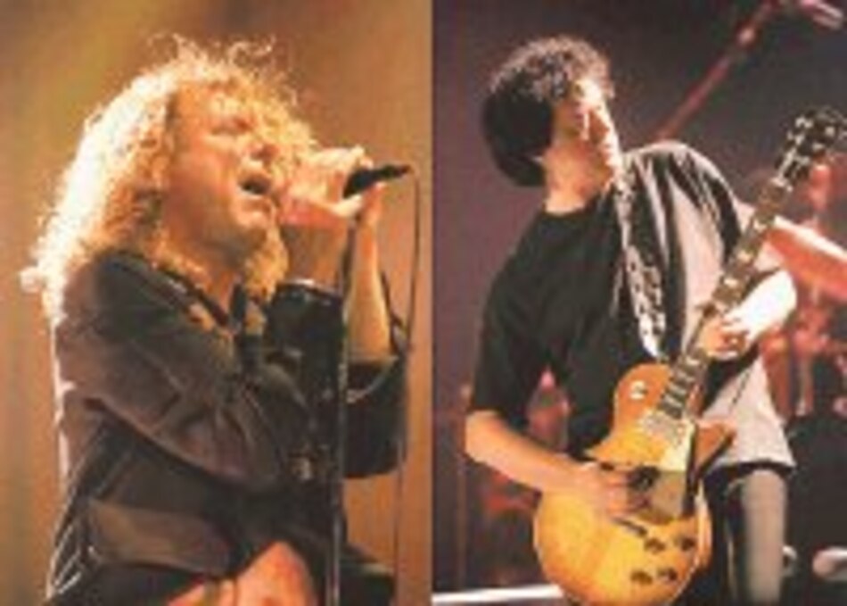 Esos gritones de pelo largo