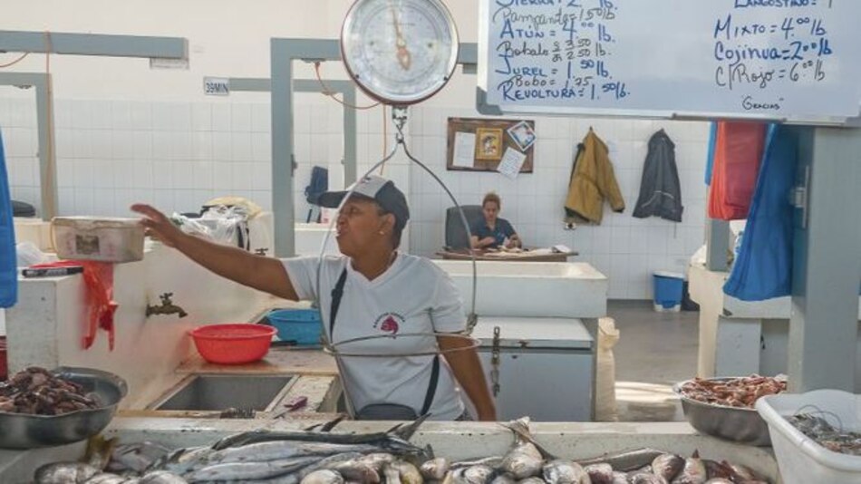 Pescados y mariscos frescos en Río Hato