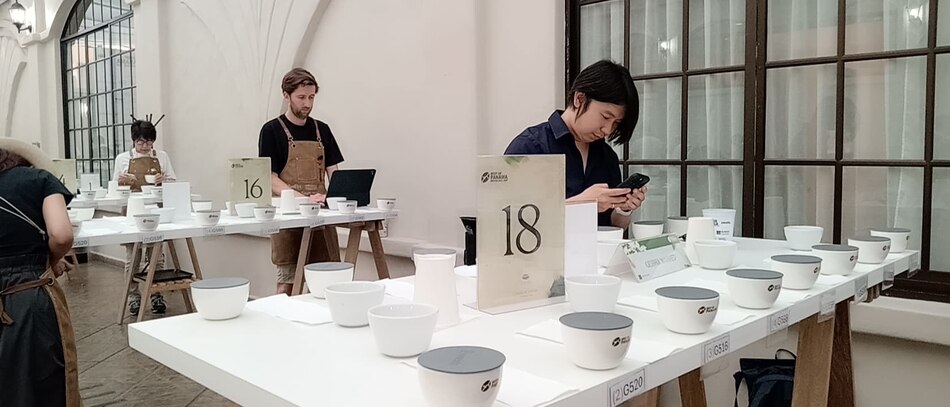 Café panameño alcanza puntajes históricos en la edición 29 del Best of Panamá