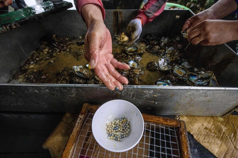 Un científico intenta resucitar la Perla de Oriente en Hong Kong