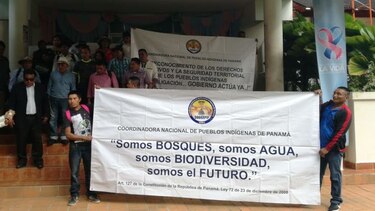 Indígenas piden agilizar proceso de titulación de tierras colectivas