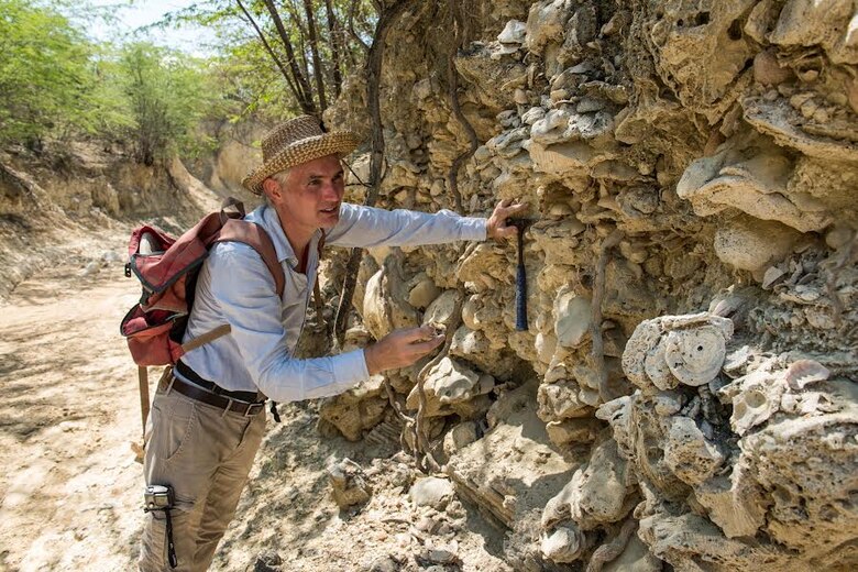 Fósiles de 7,000 años revelan cómo la pesca humana alteró los arrecifes del Caribe