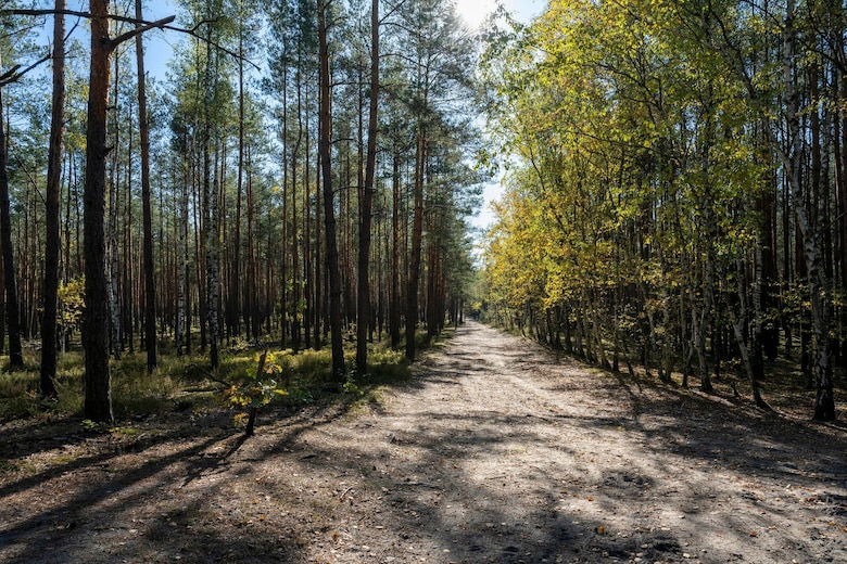 El niño que pasó 2 años escondido en un bosque para escapar de los nazis