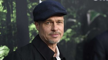Brad Pitt hace rara aparición