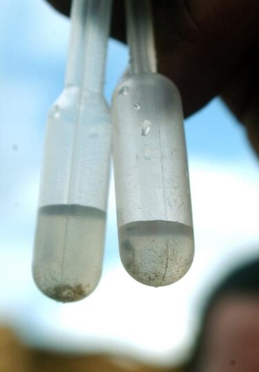 En 2014 debe estar lista una vacuna contra el dengue: OPS