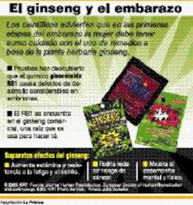 Salud El ginseng y el embarazo